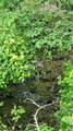 8306 Pardee Hollow Road - Photo 4