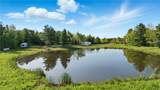 11231 Gloades Corners Road - Photo 6