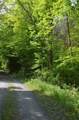 0 Caton Road - Photo 10