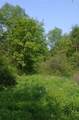 0 Caton Road - Photo 12