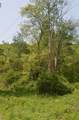 0 Caton Road - Photo 14
