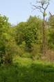 0 Caton Road - Photo 4