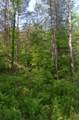 0 Caton Road - Photo 8