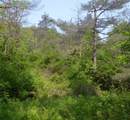 0 Caton Road - Photo 9