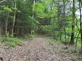 VL Lot 1 Hardscrabble Road - Photo 12
