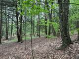 VL Lot 1 Hardscrabble Road - Photo 22