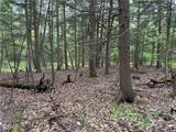 VL Lot 1 Hardscrabble Road - Photo 24