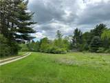 VL Lot 1 Hardscrabble Road - Photo 3