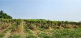 0 Townline Road - Photo 10