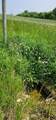 0 Townline Road - Photo 8