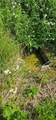 0 Townline Road - Photo 9