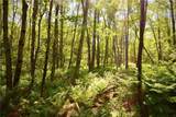  Route 52 - Photo 10