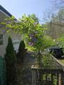 2 Kathleen Street - Photo 17