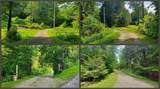 3128 Dryden Road - Photo 10
