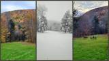 3128 Dryden Road - Photo 46