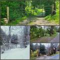 3128 Dryden Road - Photo 9