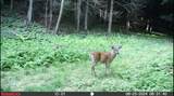  Crane Lane - Photo 24