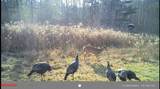  Crane Lane - Photo 25
