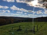 377 Bingham Center Road - Photo 33