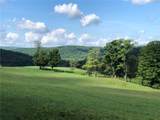 377 Bingham Center Road - Photo 43