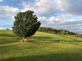 377 Bingham Center Road - Photo 44