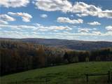 377 Bingham Center Road - Photo 46