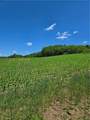 0 Backus Road - Photo 6