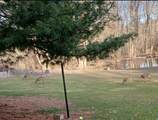 1571 Emerson Road - Photo 20