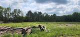 2516 Brickyard Road - Photo 3