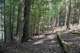  Breesport Road - Photo 19