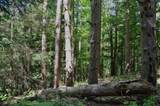  Breesport Road - Photo 24