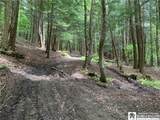 905 Waterman Road - Photo 9
