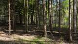 0 Miller Avenue - Photo 2