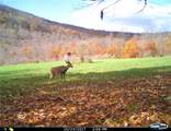  Gregory Hollow Road - Photo 11