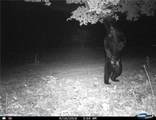  Gregory Hollow Road - Photo 15