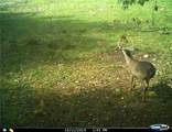  Gregory Hollow Road - Photo 19