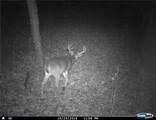  Gregory Hollow Road - Photo 20