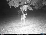  Gregory Hollow Road - Photo 21