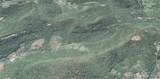  Gregory Hollow Road - Photo 22