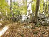  Gregory Hollow Road - Photo 8