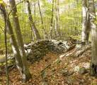  Gregory Hollow Road - Photo 9