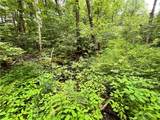 117 Albion Cross Road - Photo 12