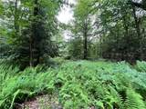 117 Albion Cross Road - Photo 16