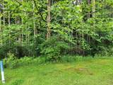  Tyrolean Trail - Photo 11