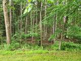  Tyrolean Trail - Photo 4