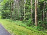  Tyrolean Trail - Photo 5