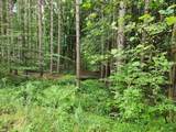  Tyrolean Trail - Photo 6