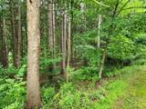  Tyrolean Trail - Photo 7