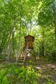  Scoville Rd - Photo 11