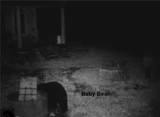 207 Cherry Lane - Photo 45